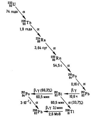 5135-7.jpg