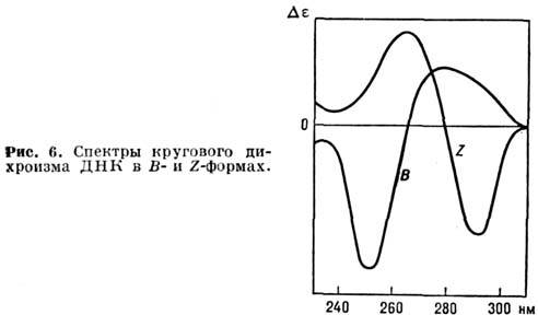 4003-38.jpg