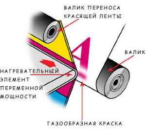 принцип работы сублимационного принтера